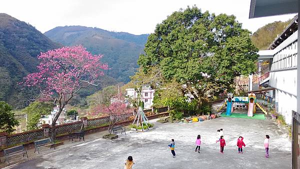 P_20150126_083825.jpg