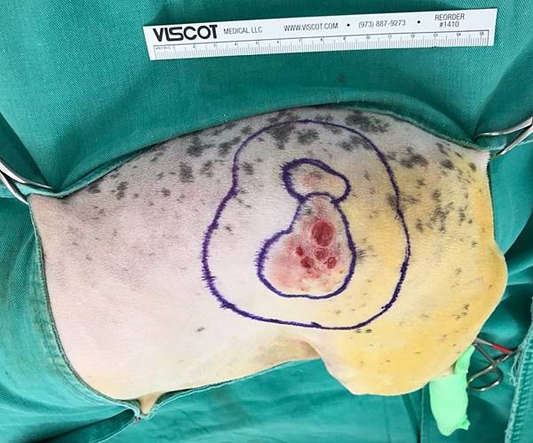 LIES7977.JPG LIES7977.JPG