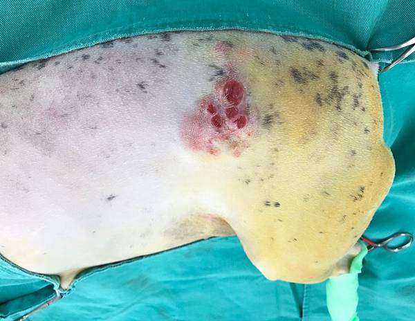 UIDW6500.JPG UIDW6500.JPG