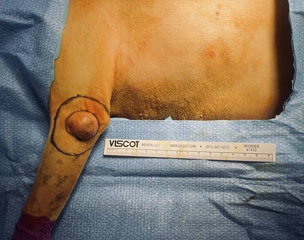 IMG_E0155.JPG IMG_E0155.JPG