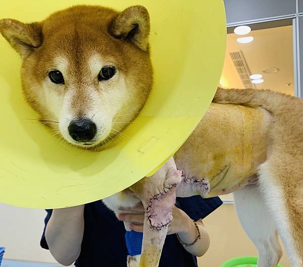 IMG_E0208.JPG IMG_E0208.JPG