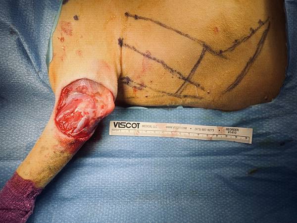 IMG_E0157.JPG IMG_E0157.JPG