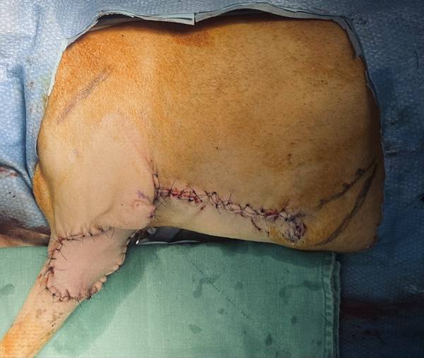 IMG_E0154.JPG IMG_E0154.JPG