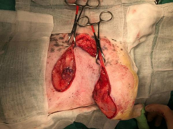 RZXK2883.JPG RZXK2883.JPG