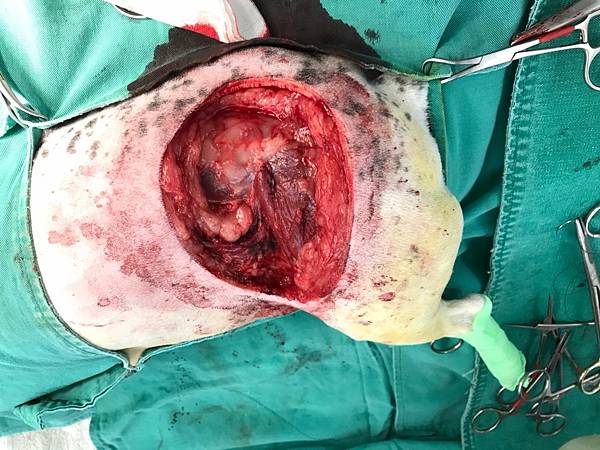 VYAY6129.JPG VYAY6129.JPG