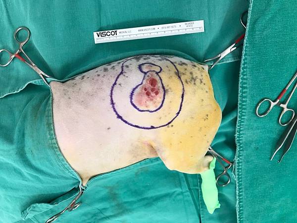 QLWX5710.JPG QLWX5710.JPG