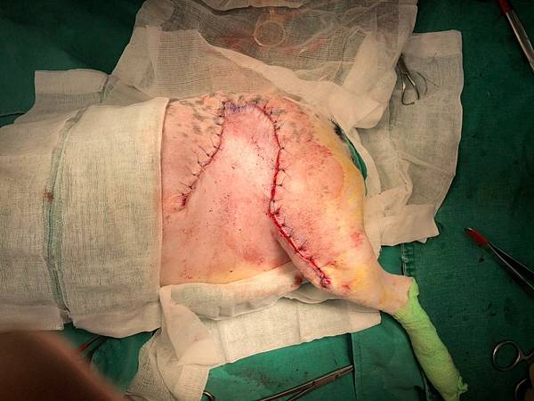 JHZM5884.JPG JHZM5884.JPG