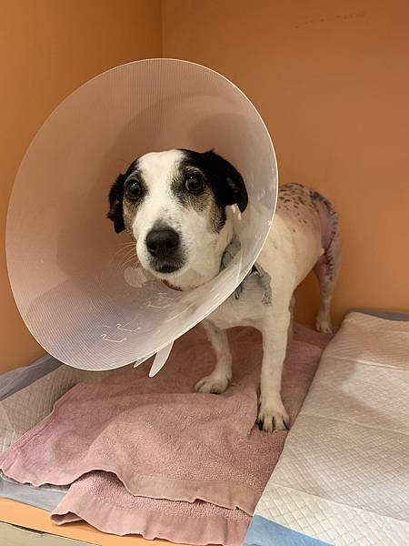 IMG_8410.JPG IMG_8410.JPG