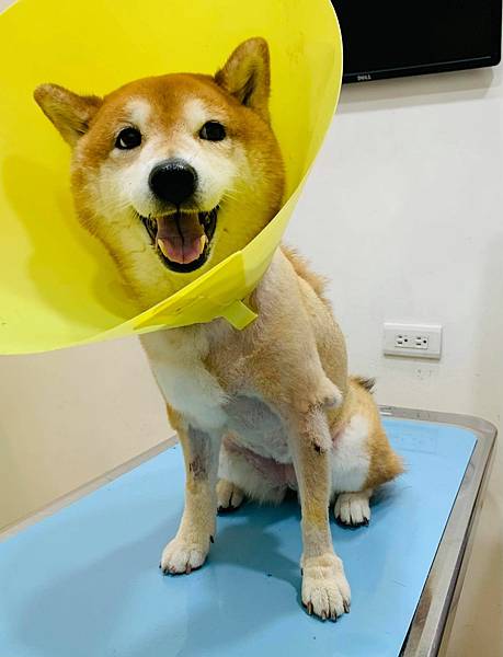 218673512_255995203042106_3217461273003675283_n.jpg 218673512_255995203042106_3217461273003675283_n.jpg