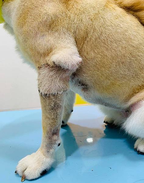 222813188_1098174617380723_8882855843662291149_n.jpg 222813188_1098174617380723_8882855843662291149_n.jpg