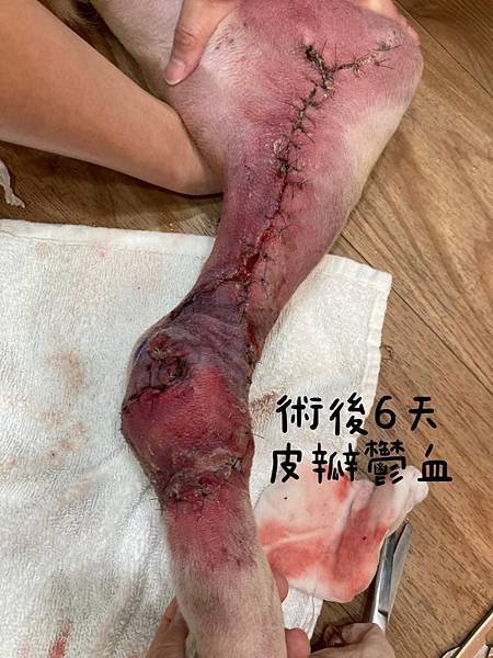 240599963_227640555967296_3233957874192875677_n.jpg 240599963_227640555967296_3233957874192875677_n.jpg