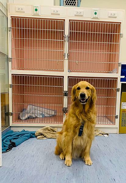 239263029_218645916866760_7253395248383415815_n.jpg 239263029_218645916866760_7253395248383415815_n.jpg