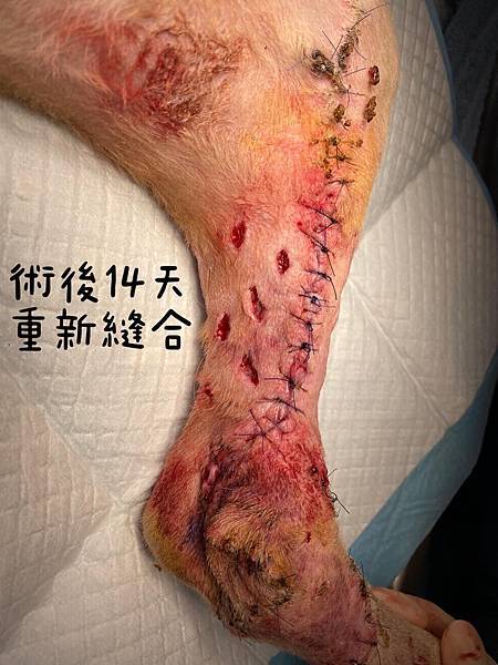 240850103_227640622633956_4015709896954408940_n.jpg 240850103_227640622633956_4015709896954408940_n.jpg