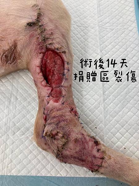 240593169_227640632633955_2778943919320295984_n.jpg 240593169_227640632633955_2778943919320295984_n.jpg