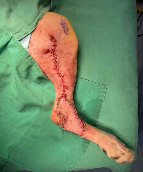 238225983_218645890200096_9023473746170082632_n.jpg 238225983_218645890200096_9023473746170082632_n.jpg