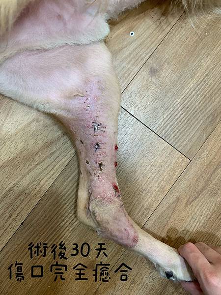 IMG_2493.JPG IMG_2493.JPG