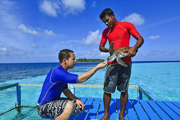 Hi_BTMVMV_42966231_11__Banyan_Tree_Vabbinfaru_Turtle_Feeding__0063.jpg