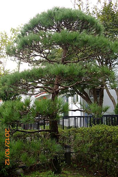 IMG_3726 IMG_3726