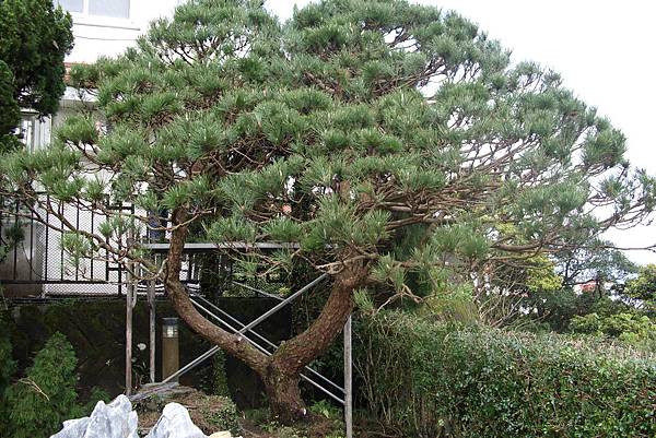 IMG_3150 IMG_3150