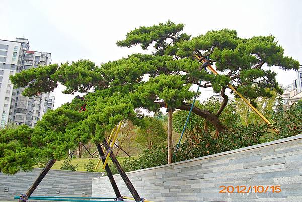 IMG_3741 IMG_3741