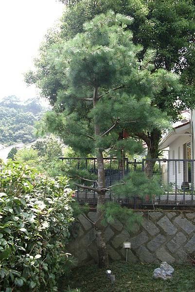 IMG_2803 IMG_2803
