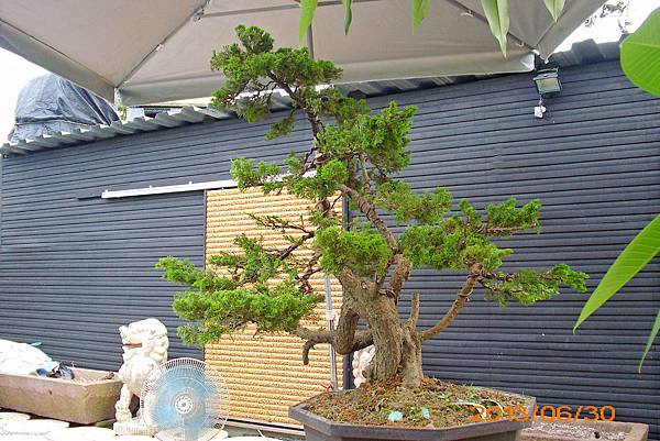 IMG_4064 IMG_4064