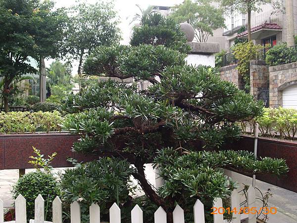 IMG_0054 IMG_0054