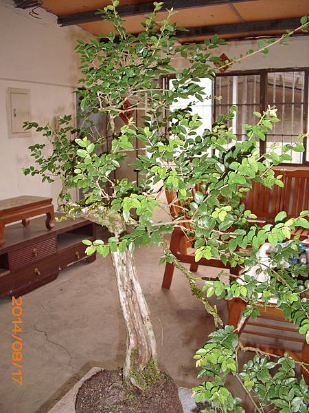 IMG_0180 IMG_0180