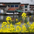 20130330_029_蘇州-重元寺.jpg