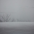 大雪-2.jpg