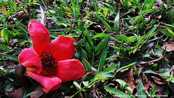 IMG_20130323_093150 IMG_20130323_093150