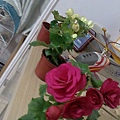 20100408385.jpg