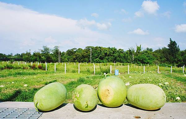 DSC01526.JPG DSC01526.JPG