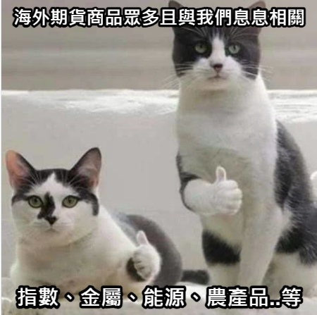 海1.jpg 海1.jpg