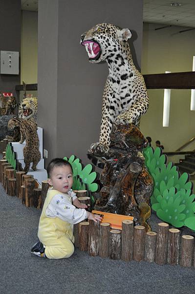動物園一日遊 12/12/2010