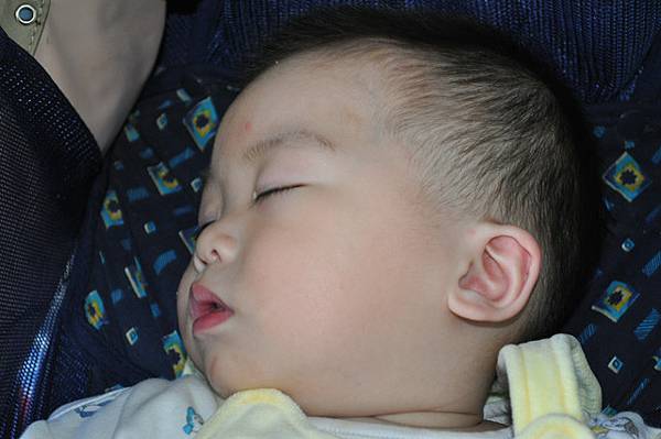 動物園一日遊 12/12/2010