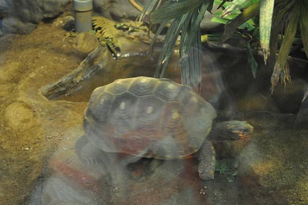 動物園一日遊 12/12/2010