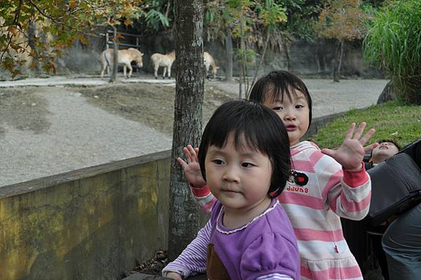 動物園一日遊 12/12/2010