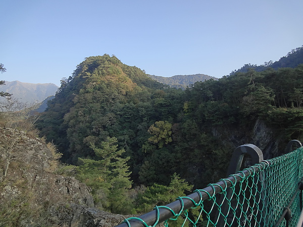 DSC05029.JPG