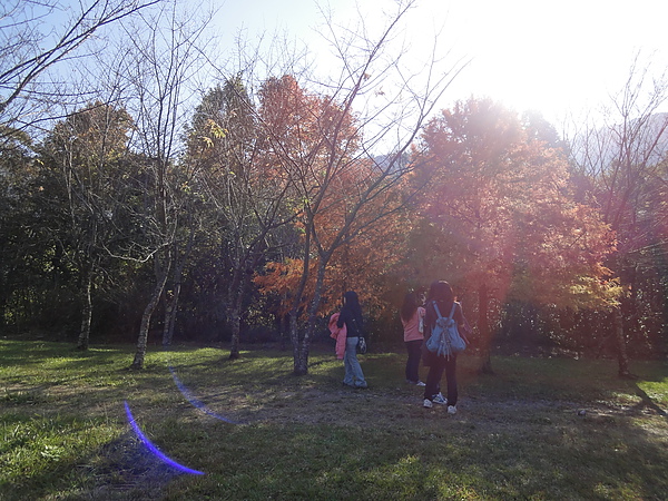 DSC05013.JPG