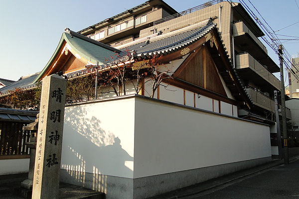 DSC01098.JPG