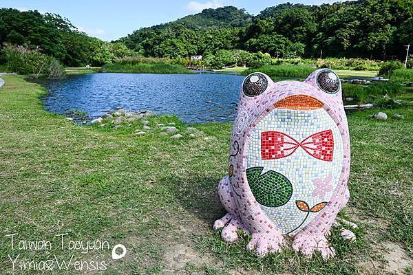 月眉人工濕地生態公園,落羽松,裝置藝術,福壽螺卵,地景藝術節,美國螯蝦,桃園旅遊,桃園,大溪,桃園景點,大溪景點,落羽松秘境,落羽松步道,桃園地景藝術節,濕地生態公園