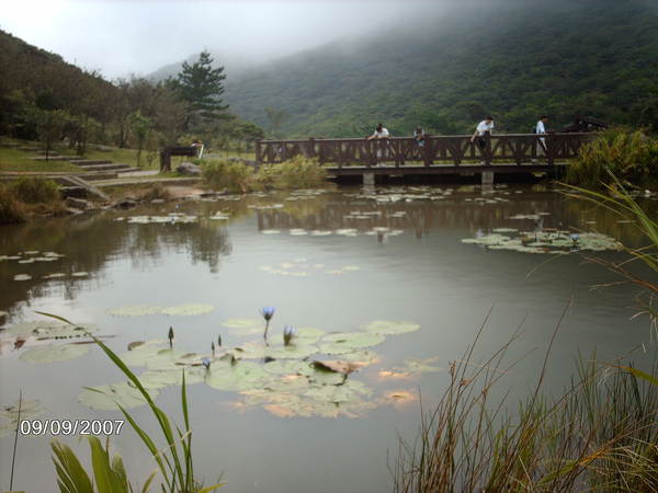 陽明山二子坪