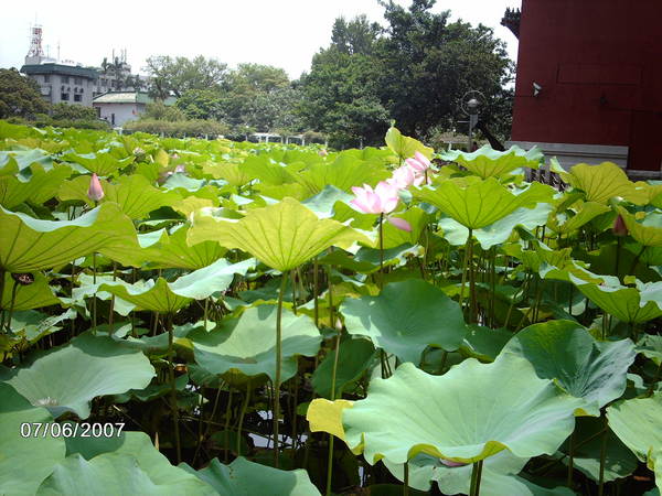 植物園