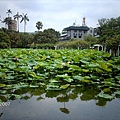 植物園