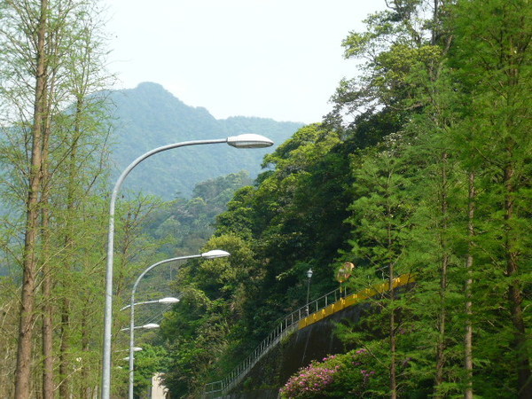 桂山電廠 