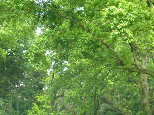 2008.春之大屯自然公園 