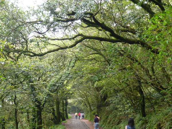 2008.春之大屯自然公園 