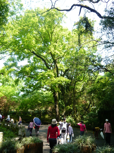 2008.春之大屯自然公園 