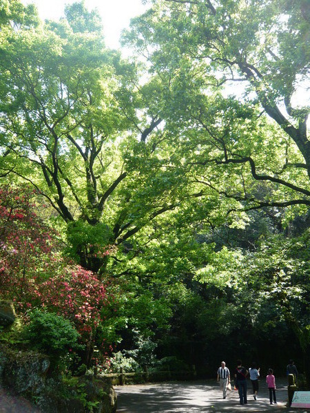 2008.春之大屯自然公園 